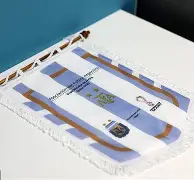 九游官方-疯狂的奥兰多