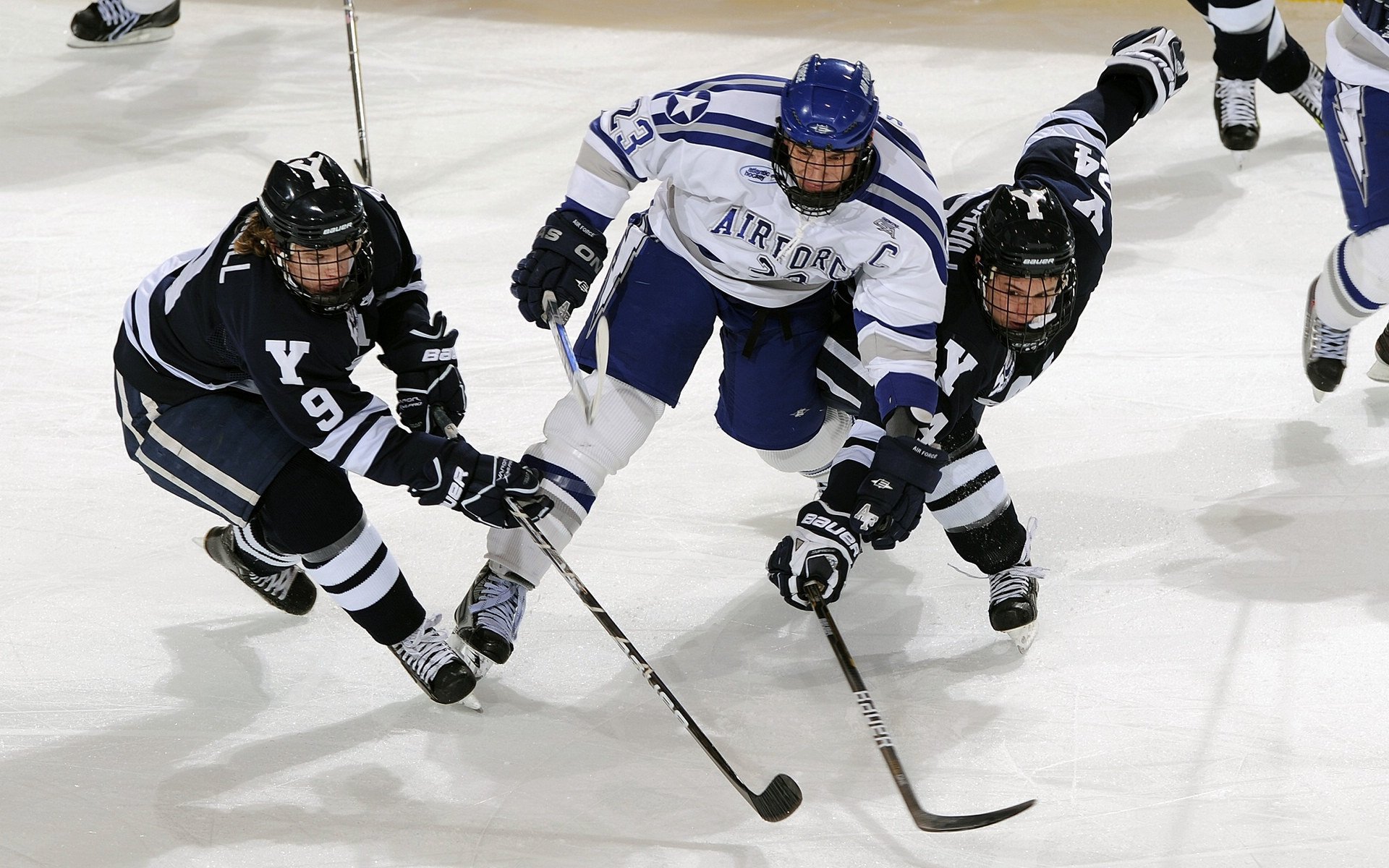 士顿凯尔特人队