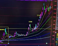 福建队最新比赛消息