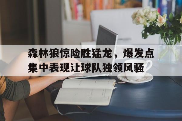 九游网页版登录入口-森林狼对猛龙